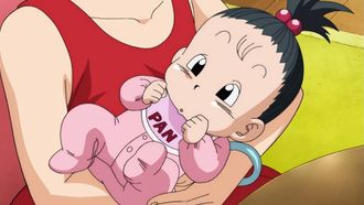 Episode 17 Pan Is Born! And Goku Goes on a Training Journey?!
