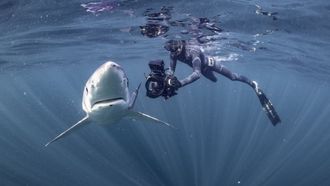 Episode 3 Into The Light