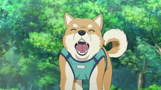 Episode 1081 My Beloved Dog Pan-kun Is a Good Boy
