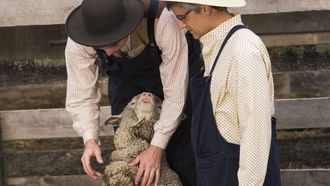 Episode 22 Robot Birds