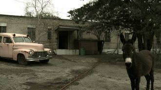 Episode 6 Yorktown Hospital and Trans-Allegheny Lunatic Asylum