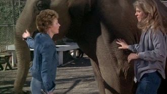 Episode 5 Claws