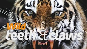 Episode 1 Teeth & Claws
