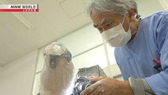 Episode 1 Prosthetics Pioneer - Usui Fumio