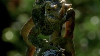 Episode 2 Smart Reptiles