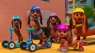 Episode 7 Roller-Dogs / Sniff & Share