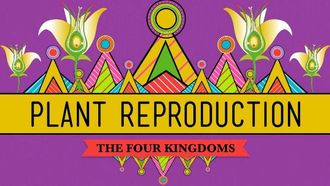 Episode 38 The Plants & The Bees: Plant Reproduction