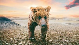 Episode 6 The Arid Heart