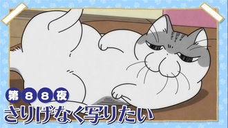 Episode 88 Night 88: He Wants to Sneak Into the Shot