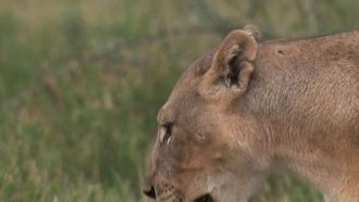 Episode 4 Breakthrough