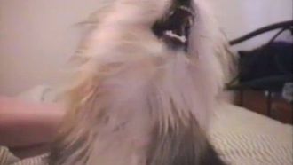 Episode 9 April 1, 1990