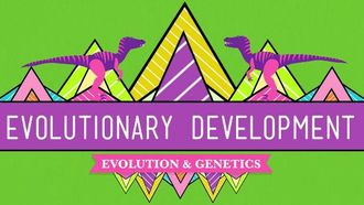 Episode 17 Evolutionary Development: Chicken Teeth