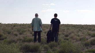 Episode 3 Bit by a Dead Bee