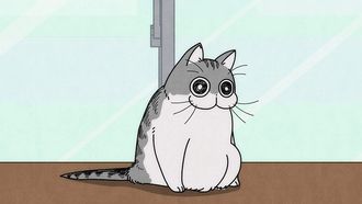Episode 7 Night 7: Can't Take Good Cat Pics