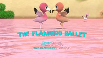 Episode 20 The Flamingo Ballet