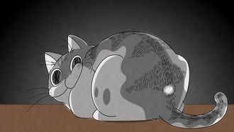 Episode 11 Night 11: Gentle Cat Punches
