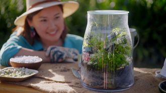 Episode 13 Making Mini-Climates