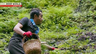 Episode 2 Kyoto Foraging Master - Nakahigashi Hisato