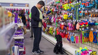 Episode 13 Mission: Pet Shop