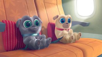 Episode 1 Hawaii Pug-Oh