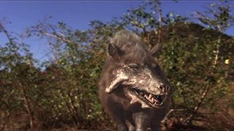 Episode 7 Razor Jaws
