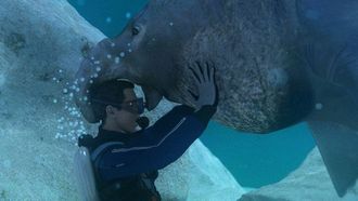 Episode 10 Disaster on the High Seas