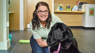 Episode 6 Mission: Bandage Team