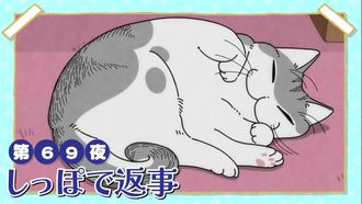 Episode 69 Night 69: Responding By Tail