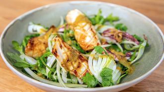 Episode 7 Raymond's Travels