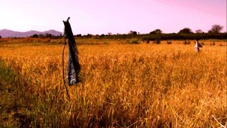 Episode 6 Grasslands: Roots of Power