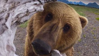 Episode 1 The Adventure Begins