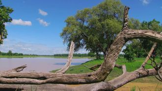 Episode 1 Luangwa River