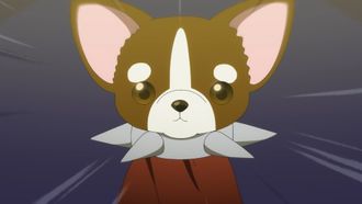 Episode 9 Doggy Duel!