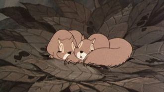 Episode 4 SOS of the forest squirrels