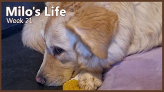 Episode 21 Living The Life | Week 21