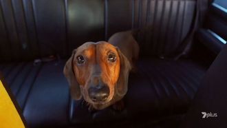 Episode 3 Film Pizza