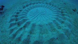 Episode 2 Infrared UFO Attack, Human Bear, & Underwater Crop Circles