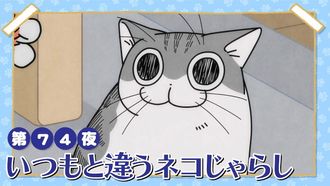 Episode 74 Night 74: A Different Kind of Cat Teaser