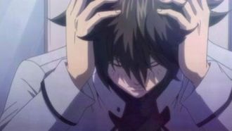 Episode 22 The One to Carry on His Will