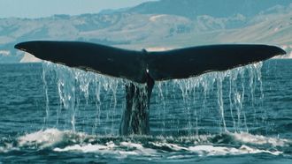 Episode 1 South Island's Treasures