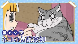 Episode 67 Night 67: A Cat Detecting Your Presence