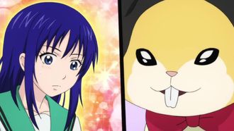 Episode 5 Rematch! Rifuta vs Teruhashi + Gifts of the Magi + The Lost Hamster with a Kansai Dialect + The Transient Miniature Animal + Massage Disaster