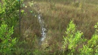 Episode 6 The Art of the Search