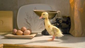 Episode 7 Washington