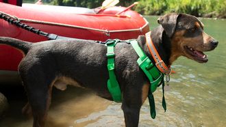 Episode 3 Costa Rica