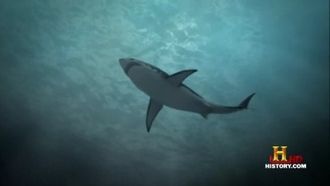 Episode 7 Deep Sea Killers