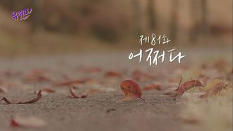 Episode 81 