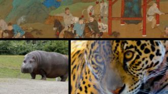 Episode 4 Dangerous Game