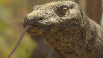 Episode 3 Desert Lands