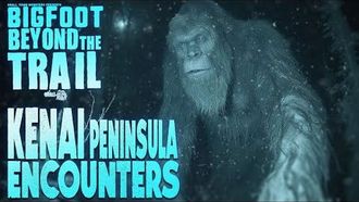 Episode 38 Kenai Peninsula Encounters